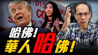 哈佛！華人「哈」佛！每週三晚上八點 LIVE【鄭村棋｜有哏來爆】2025.06.04 @funseeTW