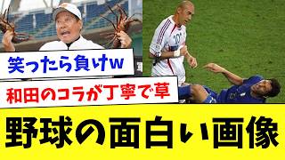 【笑ったら負け】プロ野球のおもしろ画像まとめ！コラもあるよ…www