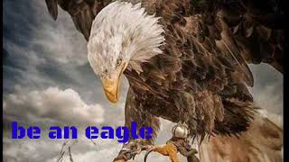 eagle motivational video