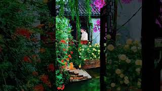 Rural life and nature #EP80  #nature #shorts