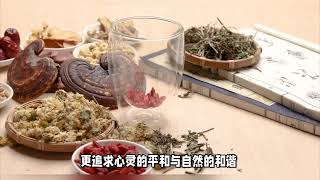 新中式养生受年轻人热捧