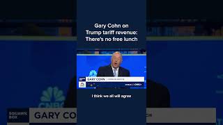 Gary Cohn on Trump tariff revenue: There's no free lunch