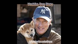 Shocking Story About Hachiko Dog 😱#shorts #shortsfeed