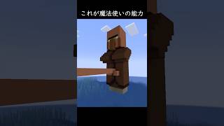30歳まで童帝だとこうなる #マイクラ #minecraft #shorts #野獣先輩