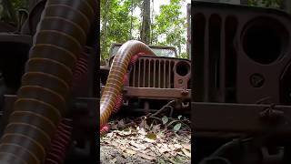 Exploring Abandoned Jeeps | #shorts #trending #awe #discovery