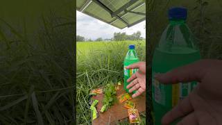 Famous hazmola Drink 🍸 😘😜| #drink #summerdrink #shorts #hazmoladrink #trendingshorts #desi