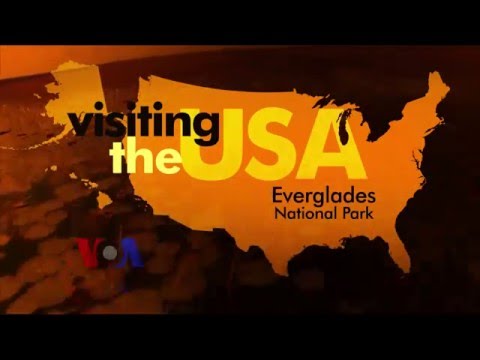 Visiting the USA: Everglades National Park