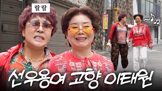 편견없는 81세 선우용여 나이 속인 랄랄이랑 손잡고 고향나들이 (몰래카메라,빅웃음)
