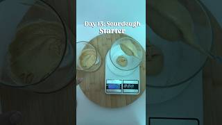 Feeding My Sourdough Starter After Failed Float Test