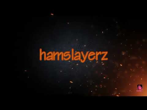 hamslayerz intro