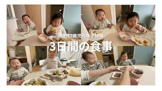 ＃033【3日間の食事】11ヶ月、2歳3ヶ月年子姉妹のご飯🍚