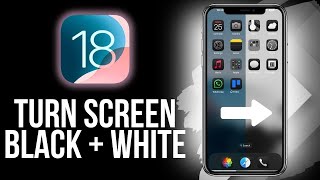 How To Turn iPhone Black and White (Easy)