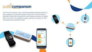 Usability Study Birmingham Pulse Companion (Part 1 of 2)