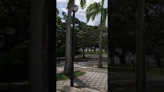 Sg #singapore #tour #attraction - See Our Paradise