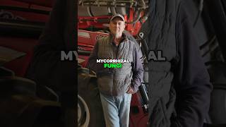 Mycorrhizal Fungi in No-Till Farming? #regenerativefarming #soilhealth #mycorrhiza