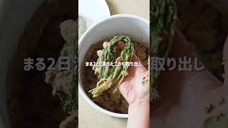 ぬか漬けにするとおいしすぎる！変わり種３つ【ニラ・枝豆・アボカド】