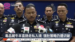 毒品藏牛羊直肠走私入境 饿肚策略仍遭识破【2025.07.17 八度空间华语新闻】