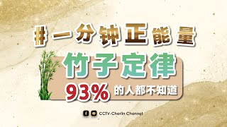 【竹子定律】你是在扎根，只有扎稳了才能看见成果