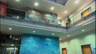 IODP Exp. 310