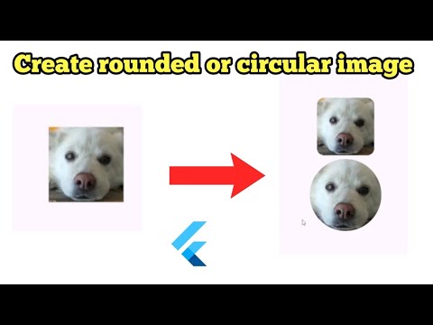 How to make rounded or circular image in Flutter easily step by step guide?
