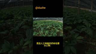 为什么现在很多人说中医是骗子？ 难道是医术退步和人品问题？其实是效益问题。 | @duzhe
