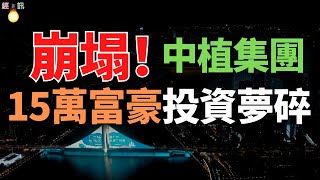 完了！破產清算！中植 3.6 萬億帝國倒塌！虧空比恒大多1.14萬億，15萬富豪投資夢碎。史上最貴的"割韭菜"現場