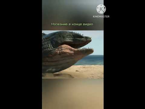 A Giant Snake #movie #ytshorts #youtubeshorts #viralvideo #yt #movieclips #youtubevideo #moviescenes