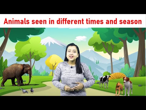 Animals seen in different times and season, Class 3, Science