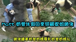 5月10日  Matt奶爸休假回來照顧家姐細佬，細佬黏著奶爸奶媽，家姐睡覺中，奶爸奶媽仔細檢查家姐口鼻#香港大熊貓 #大熊貓家姐細佬 #panda #cutepanda #大熊貓盈盈