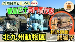 [九州自由行_EP4] 北九州動物園一日遊｜叢林巴士買門票攻略｜超近距離餵獅子｜九州自由行懶人包｜九州福岡非自駕 [帶你遊玩福岡/門司港/別府/由布院/高千穗峽/熊本/太宰府/糸島]