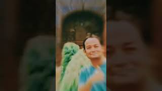 cameraman jaldi focus karo#reels#panjabi#letestsongs#viralvideo