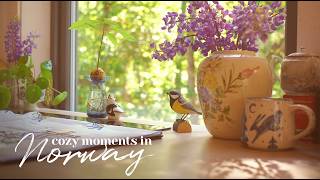 Quiet Morning with an Unexpected Visitor at the Forest Cabin - Slow Living Vlog