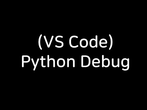 (VS Code Interface) python debug