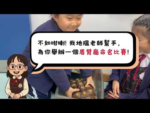 生物小百科 (盾臂龜)