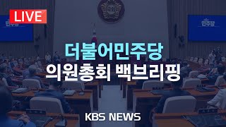 [LIVE] 더불어민주당 의원총회 백브리핑 생중계/2025년 4월 3일(목)/KBS
