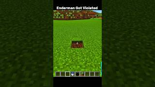 Minecraft Enderman Got Violated #minecraft #shorts