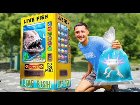 I Found a LIVE Fish Vending Machine...