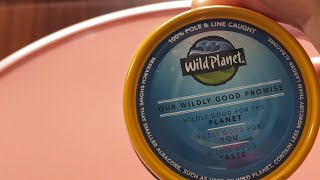 Wild Planet Albacore Tuna: From Ocean to Plate