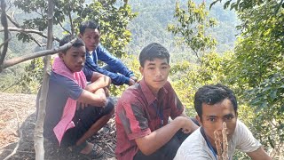 Nongtimai vlog