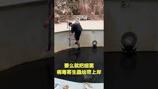 恐怖死水......|自說自話的總裁