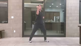 Spring 2022 Brown and Black Belt Test Blocks Practice Video 2