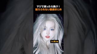マジで笑ったら負け！耐えられない動画まとめ