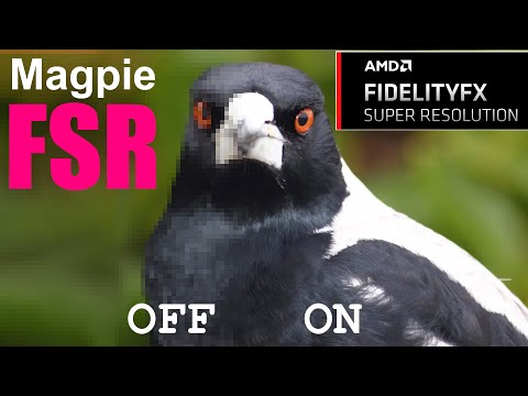 FSR on any game! Magpie in English, how to adjust Sharpness and Performance issues
