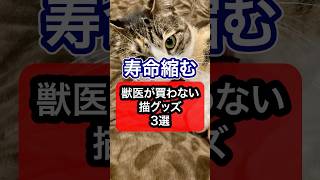 [It's dangerous if you don't know] 3 cat products that veterinarians don't buy #cat #cats #rescue...