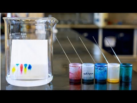 Paper Chromatography chemistry experiment