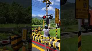 台湾が日本を捨て韓国の鉄道車両を選んだ末路やばすぎる