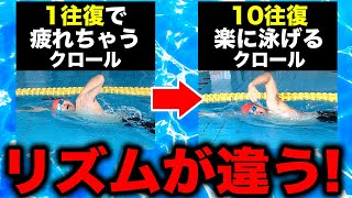 クロール１往復でも疲れるあなたへ！楽に長く泳ぐコツを習得して10往復を楽々泳ごう！
