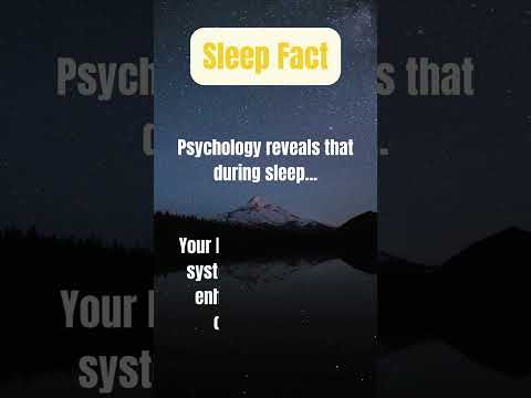 The Psychology Behind Sleep