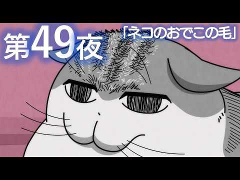 アニメ『夜は猫といっしょ』第49夜「ネコのおでこの毛」