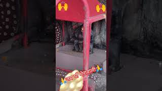 🙏🥰🌺कोई भेट करेगा चुंदरीकोई#love#shorts# JaymaaSherawali#bhaktisong#viral#motivation#trendin#like#sub